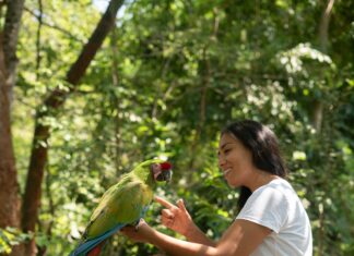 Ara Sertifika Nedir? Merak Edilen Tüm Detaylar ve Önemi
