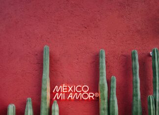 Favicon İçin HTTPS Önemli Mi? Kesin Bilmeniz Gerekenler!