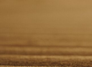 Sertifikamı Kaybedersem Ne Olur? Bilmeniz Gereken Kritik Detaylar