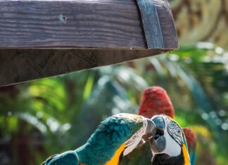 Kök Ve Ara Sertifikalar Neden Gereklidir? İşte Cevapları!