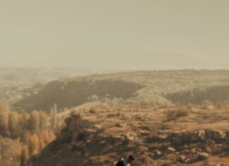 Hangi SSL Türü Daha Güvenli? En Etkili Seçenekler ve İpuçları