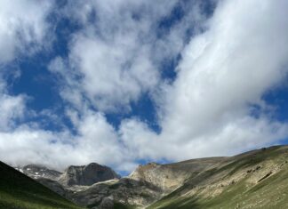 Sertifikam Neden Yeşil Görünmüyor? Hemen Çözüm Yolları!