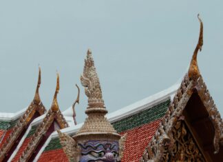 Kök Sertifika Nedir? Güvenliğinizi Artıracak Tüm Detaylar