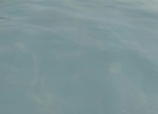 Extended Validation SSL’in Avantajları Nedir? Güvenin Sırrını Keşfedin