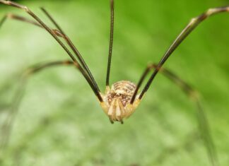 Web Sitem “Güvenli Değil” Diyor? Hemen Çözüm Yolları!