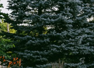 Toplu SSL Alımı Yapılabilir Mi? Güvenliğinizi Artırmanın Yolları