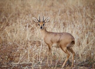 E-Posta Sunucusunda SSL Kurulumu Nasıl Olur? Kesin Çözümler!