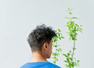 CSR Nasıl Oluşturulur? Etkili Yöntemler ve Başarı İçin İpuçları