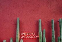 SSL Bağlantısı Dinlenebilir Mi? Güvenlik Riskleri ve Çözümler