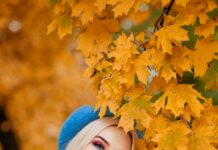 OV SSL Nedir? Güvenliğinizi Artıracak Kritik Bilgiler!