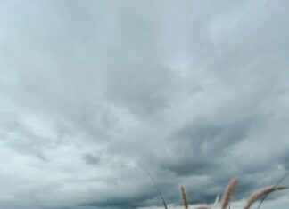 Geliştirici Sertifikası İle Üretim Yapılır Mı? Gerçekler!