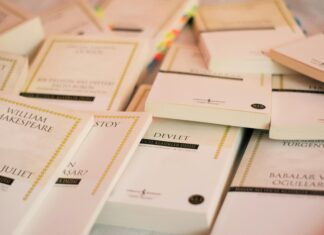 Devlet Kurumları Hangi SSL’i Kullanmalı? En İyi Seçenekler!