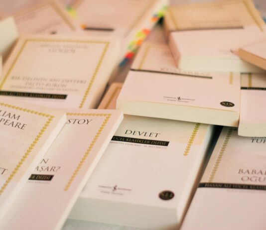 Devlet Kurumları Hangi SSL’i Kullanmalı? En İyi Seçenekler!