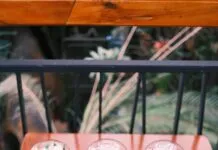 SSL Sertifikası Türü Siber Saldırılara Karşı Gerçekten Fark Yaratır Mı?