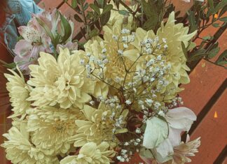 OV SSL Hangi Firmalardan Alınabilir? En Güvenilir Seçenekler!