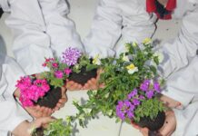 Eğitim Siteleri İçin Hangi SSL En Güvenli ve Etkili Seçimdir?