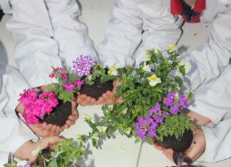 Eğitim Siteleri İçin Hangi SSL En Güvenli ve Etkili Seçimdir?