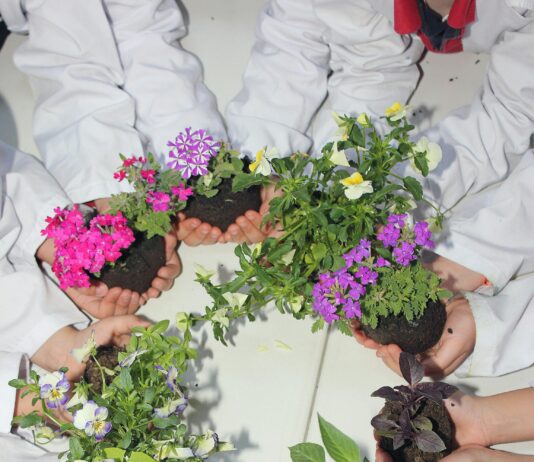 Eğitim Siteleri İçin Hangi SSL En Güvenli ve Etkili Seçimdir?