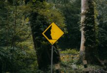 SSL Sertifikasında Marka Önemli Midir? Merak Edilenler Açıklanıyor!