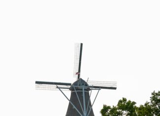 SSL Sertifikası Türü SEO’ya Etki Eder Mi? Gerçekler ve İpuçları