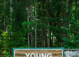 Let’s Encrypt DV Mi Sağlar? Güvenliğinizi Artıran Sırları Keşfedin